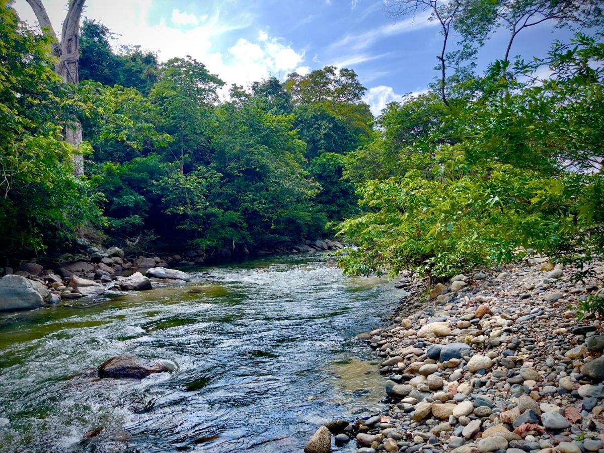 Tayrona Suites 엘 자이노 외부 사진
